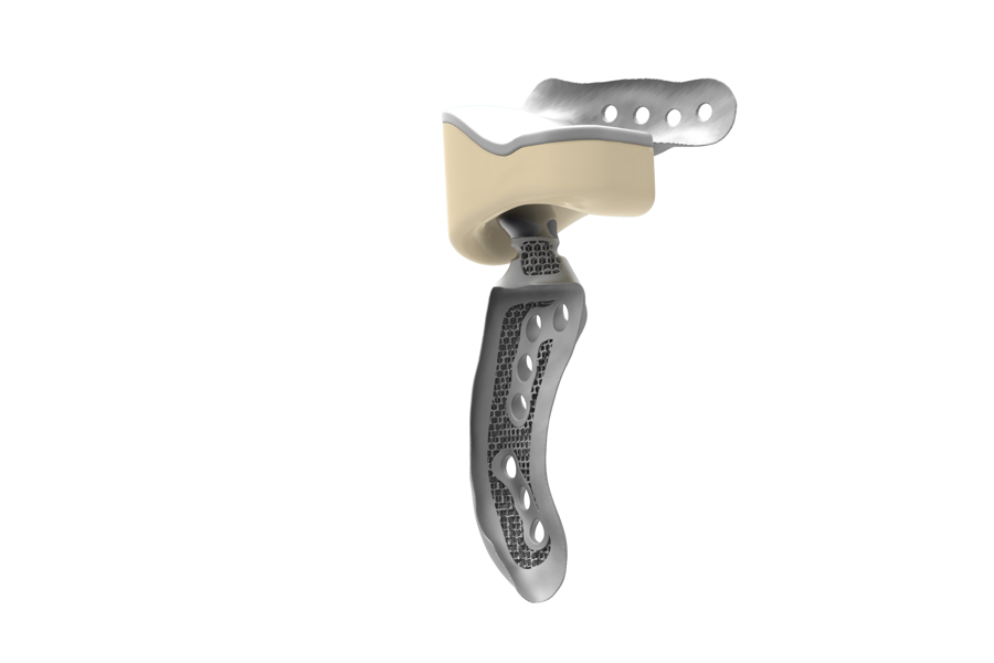 The second Customized TMJ Replacement Surgery - instructional course was a great success